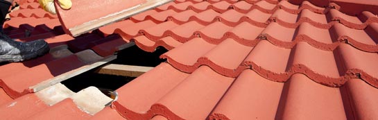 compare Fogo roof repair quotes